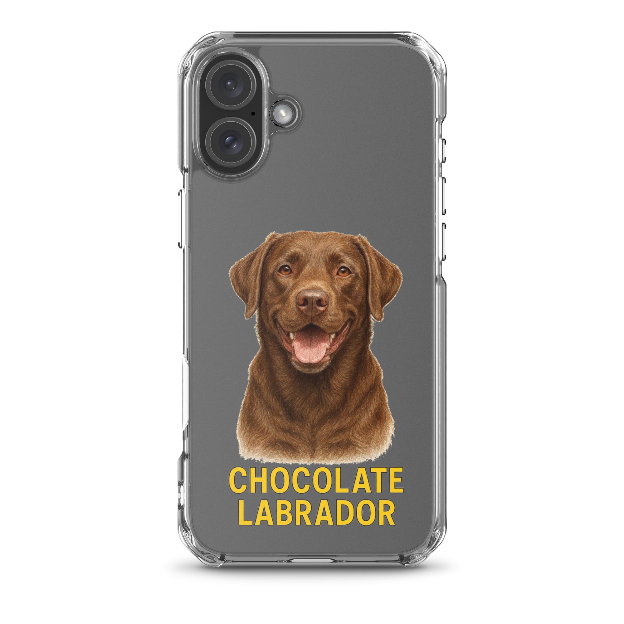Chocolate Labrador Clear Case for iPhone