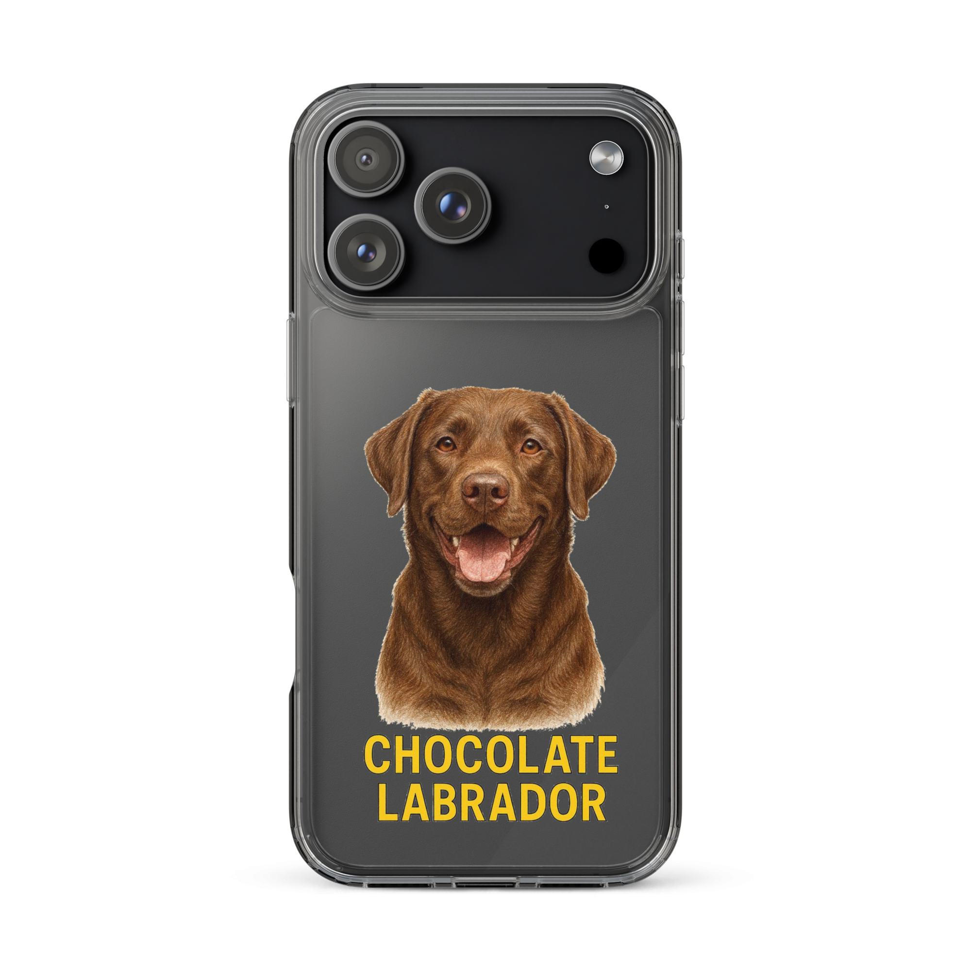 Chocolate Labrador Clear Case for iPhone