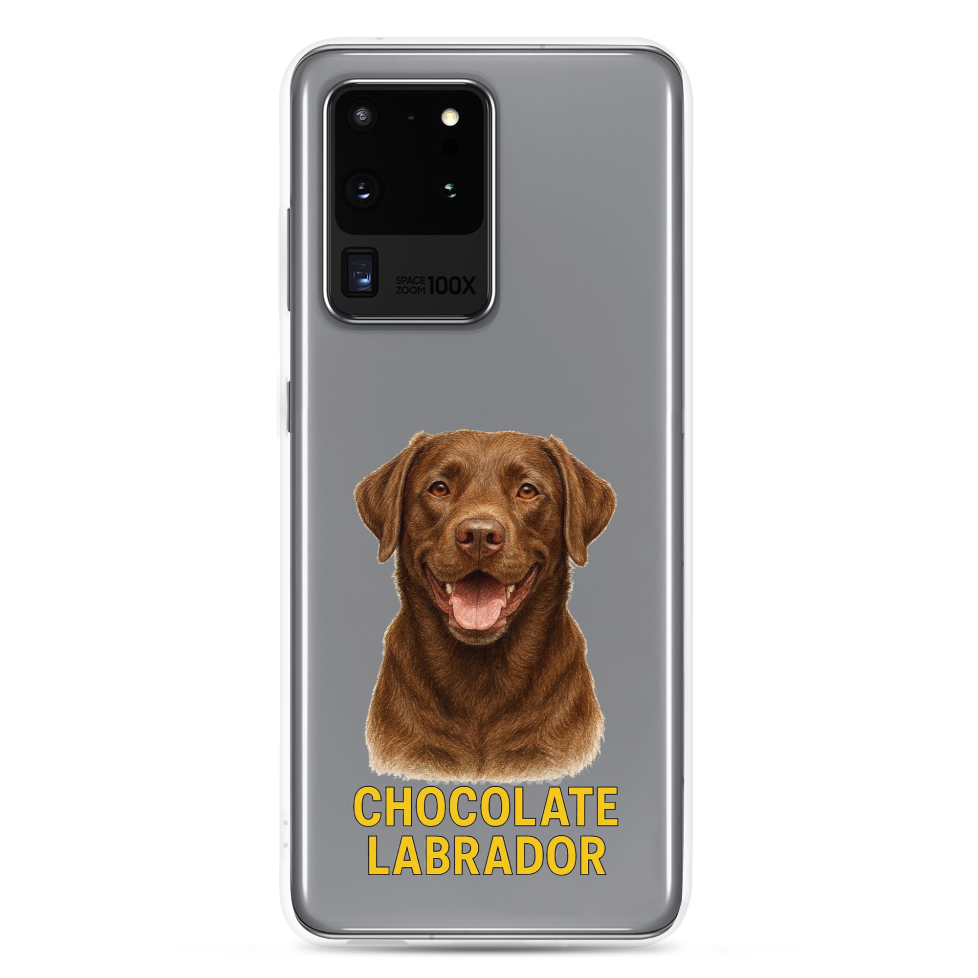 Chocolate Labrador Clear Case for Samsung