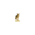 Coyote Die-cut sticker