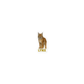Lynx Die-cut sticker