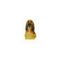 Afghan Hound Die-Cut Sticker