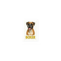 Boxer Die-cut sticker