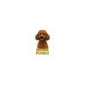 Brown Poodle Die-cut sticker