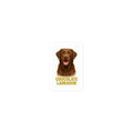 Chocolate Labrador Die-cut sticker