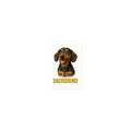 Dachshund Die-cut sticker