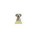 Dalmatian Die-cut sticker