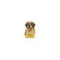 Saint Bernard Die-cut sticker