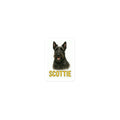 Scottie Die-cut sticker