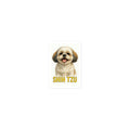 Shih Tzu Die-cut sticker