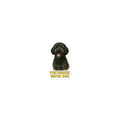 Portuguese Water Dog Die-cut Sticker
