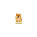 Pomeranian Sticker
