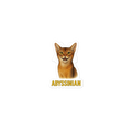 Abyssinian Cat Sticker