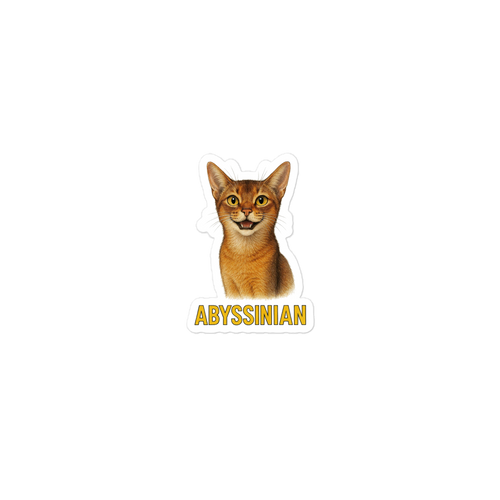 Abyssinian Cat Sticker