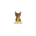 Devon Rex Cat Sticker