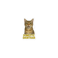 Domestic Shorthair Cat Sticker