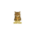 Exotic Shorthair Cat Sticker