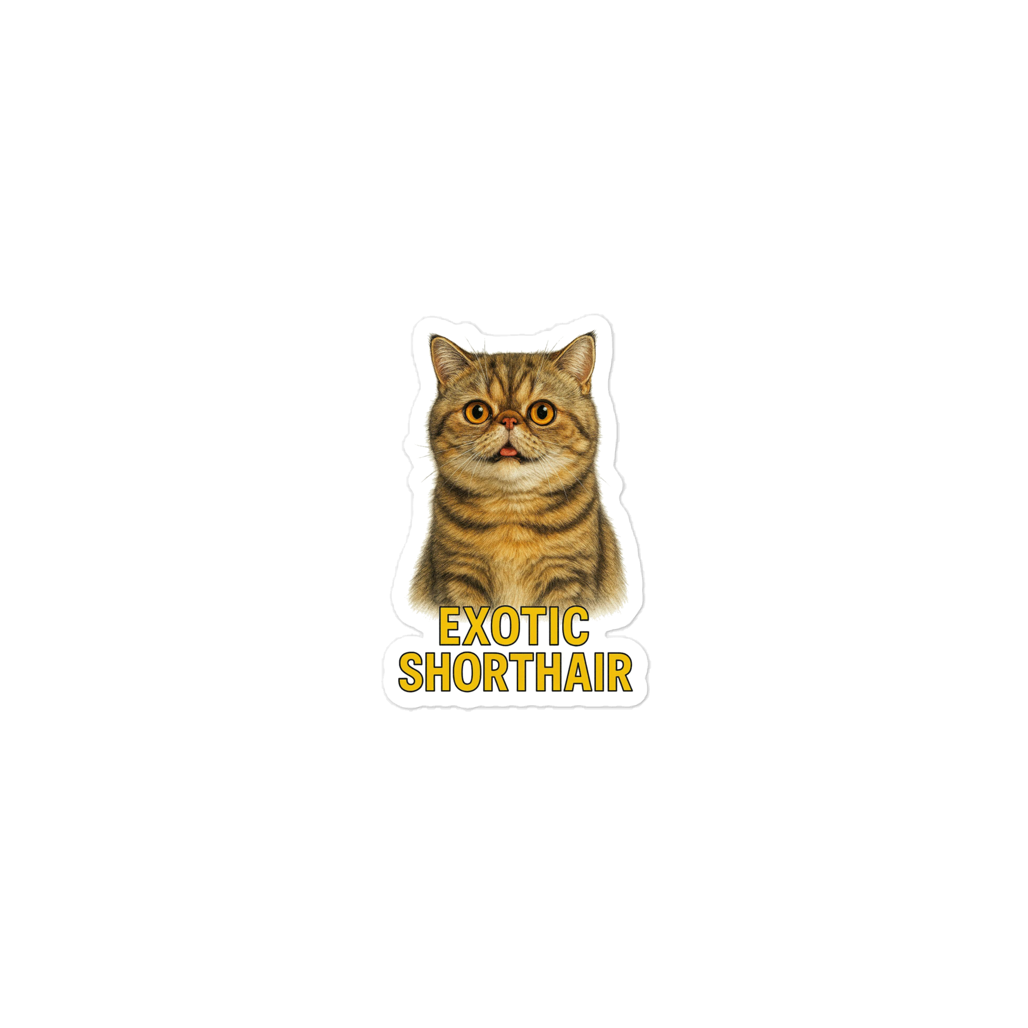 Exotic Shorthair Cat Sticker