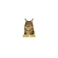 Maine Coon Cat Sticker