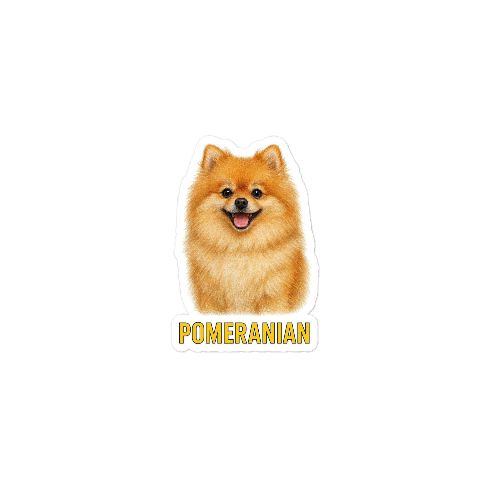 Pomeranian Sticker