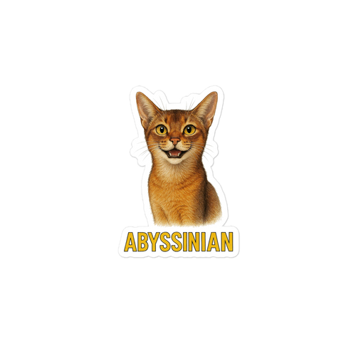 Abyssinian Cat Sticker