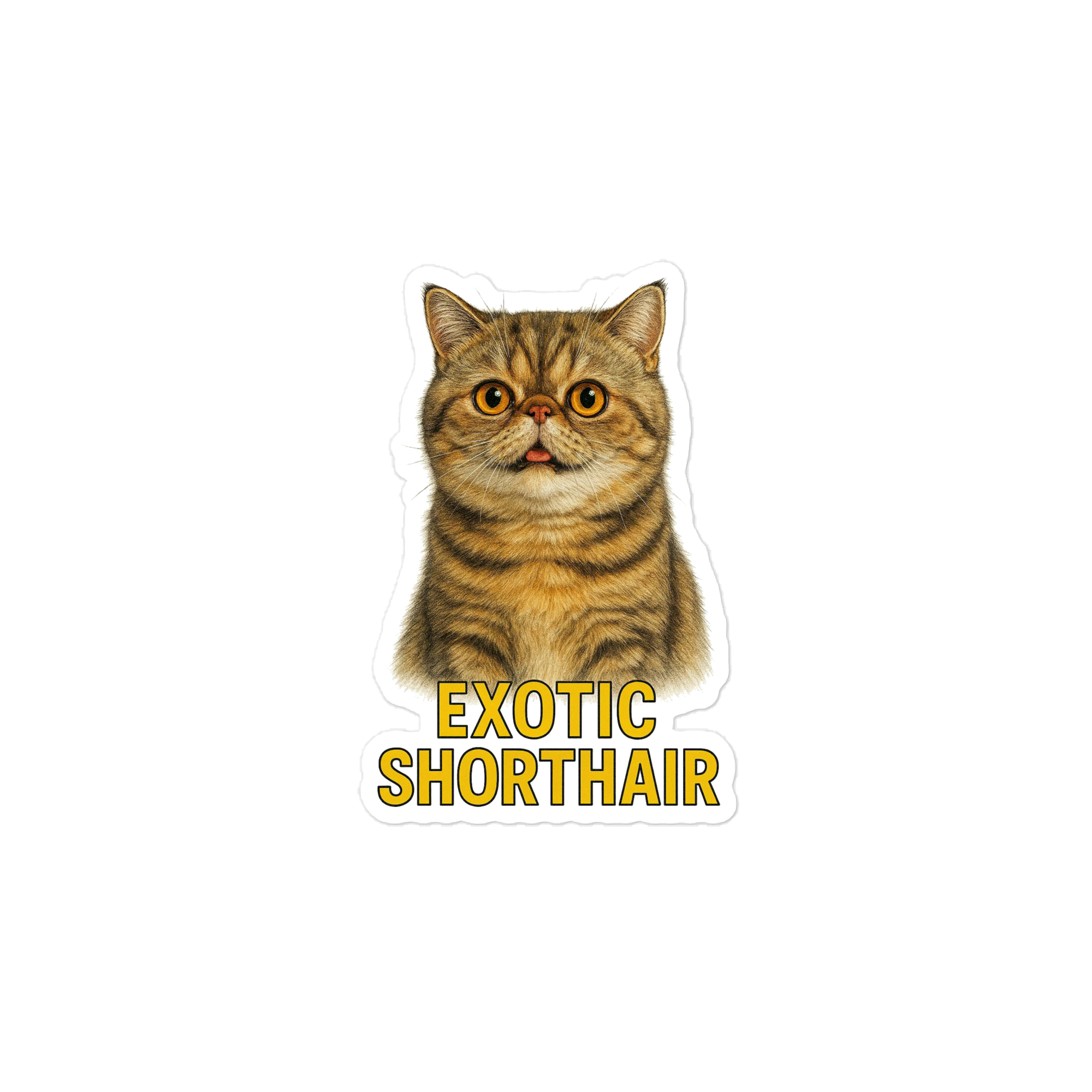 Exotic Shorthair Cat Sticker