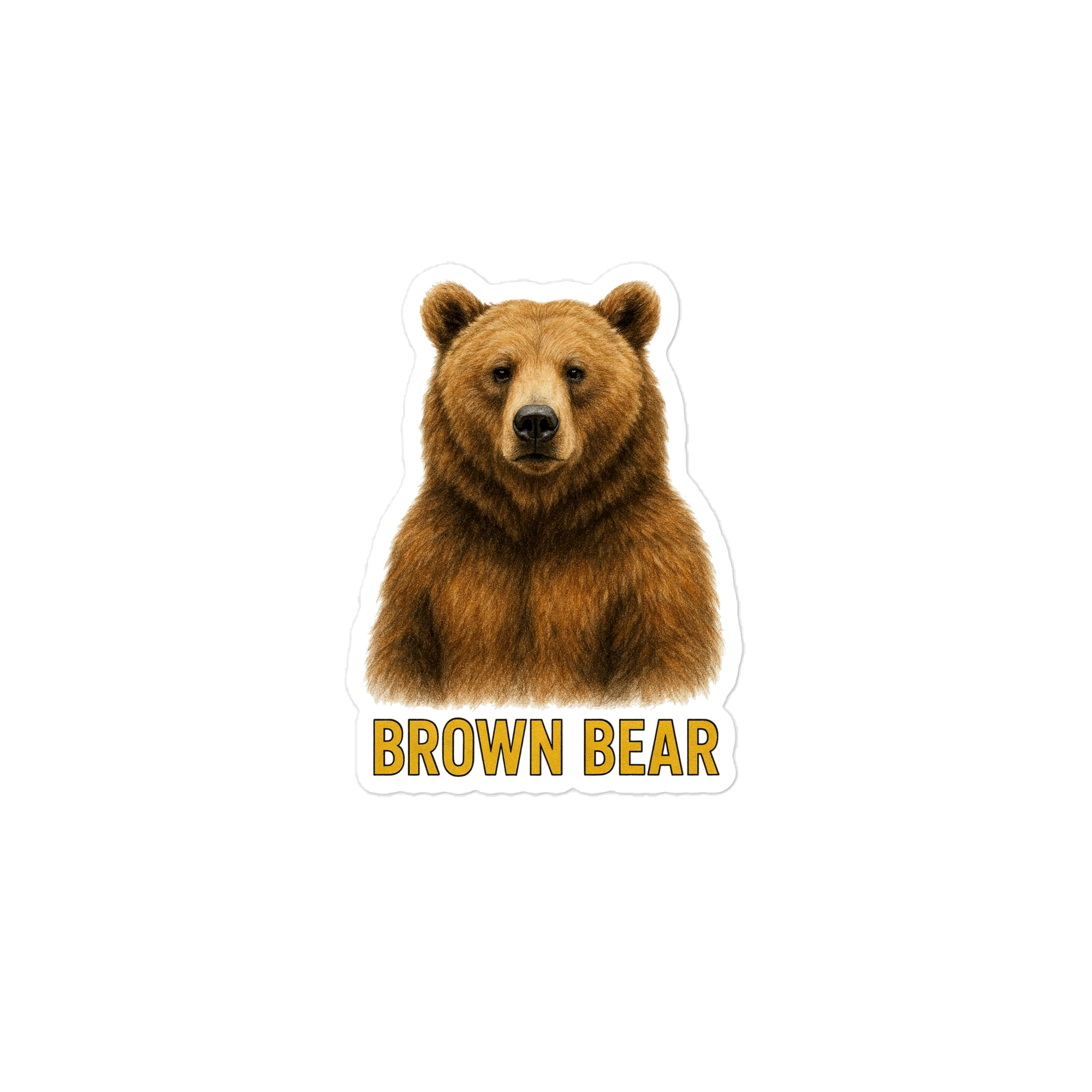 Brown Bear Die-cut sticker