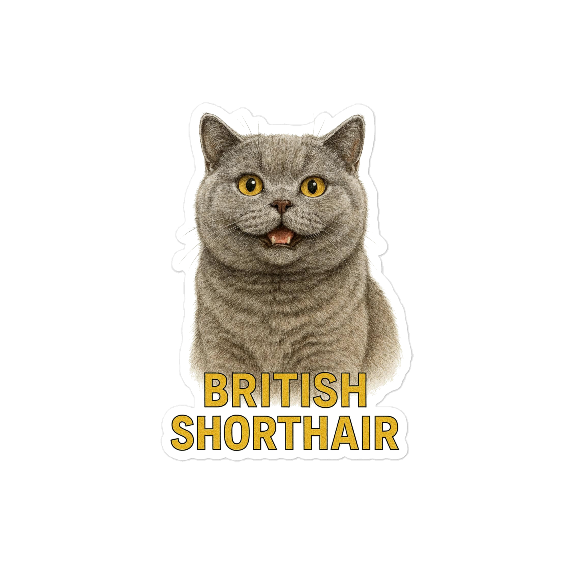 British Short Hair Cat Sticker