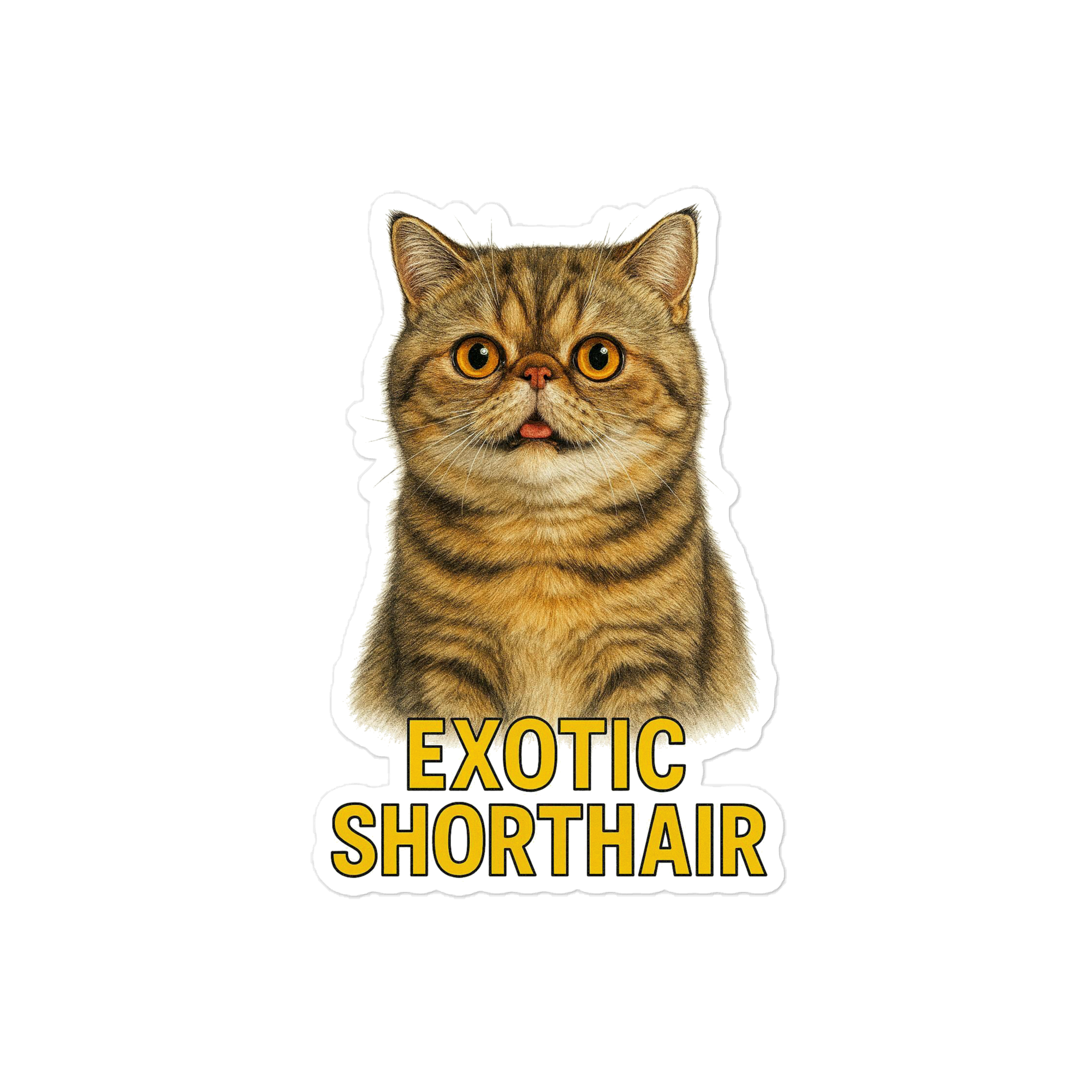 Exotic Shorthair Cat Sticker