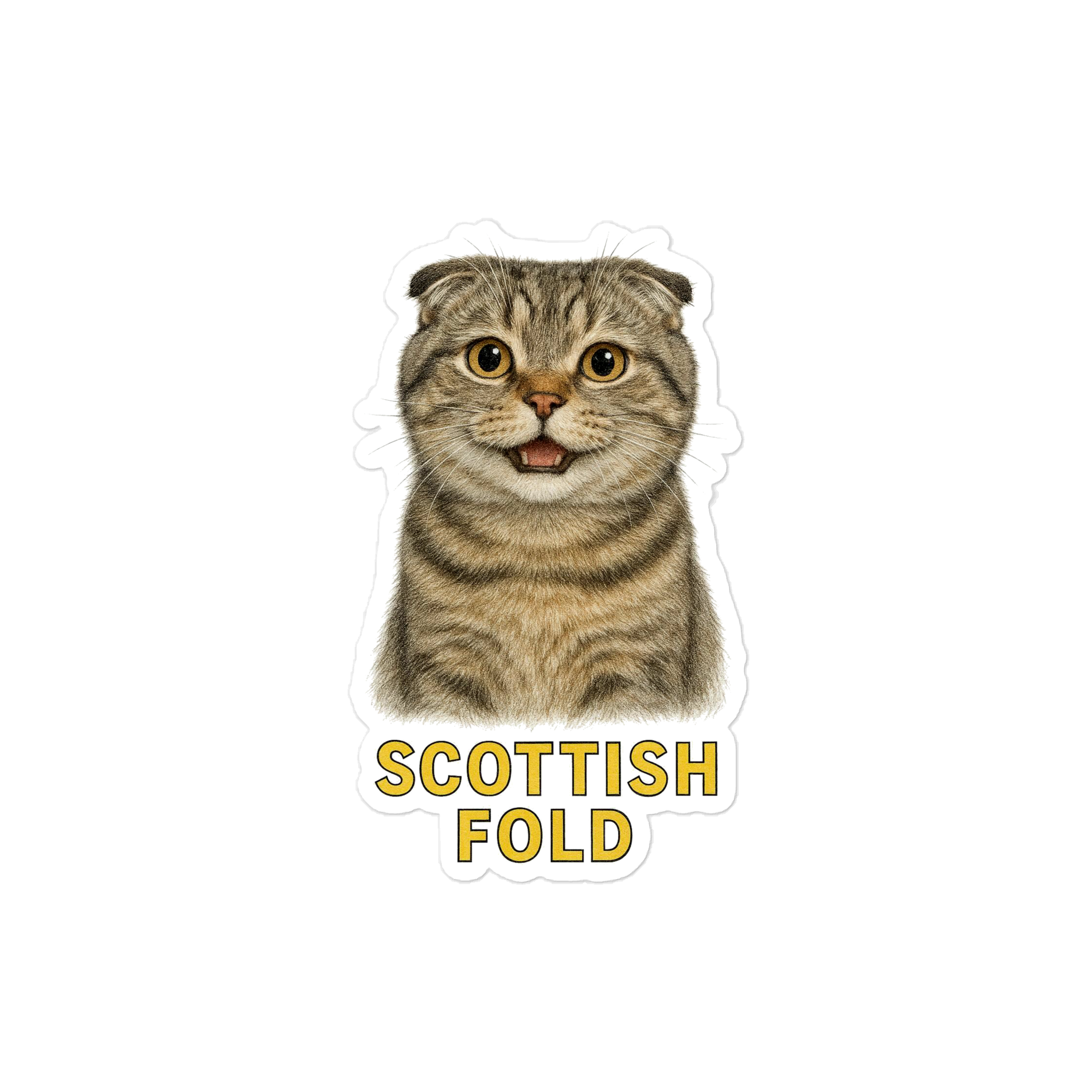 Scottish Fold Cat Sticker