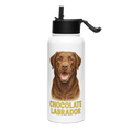 Chocolate Labrador Water Bottle