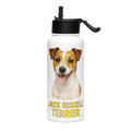 Jack Russell Terrier
