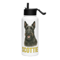 Scottie Water Bottle