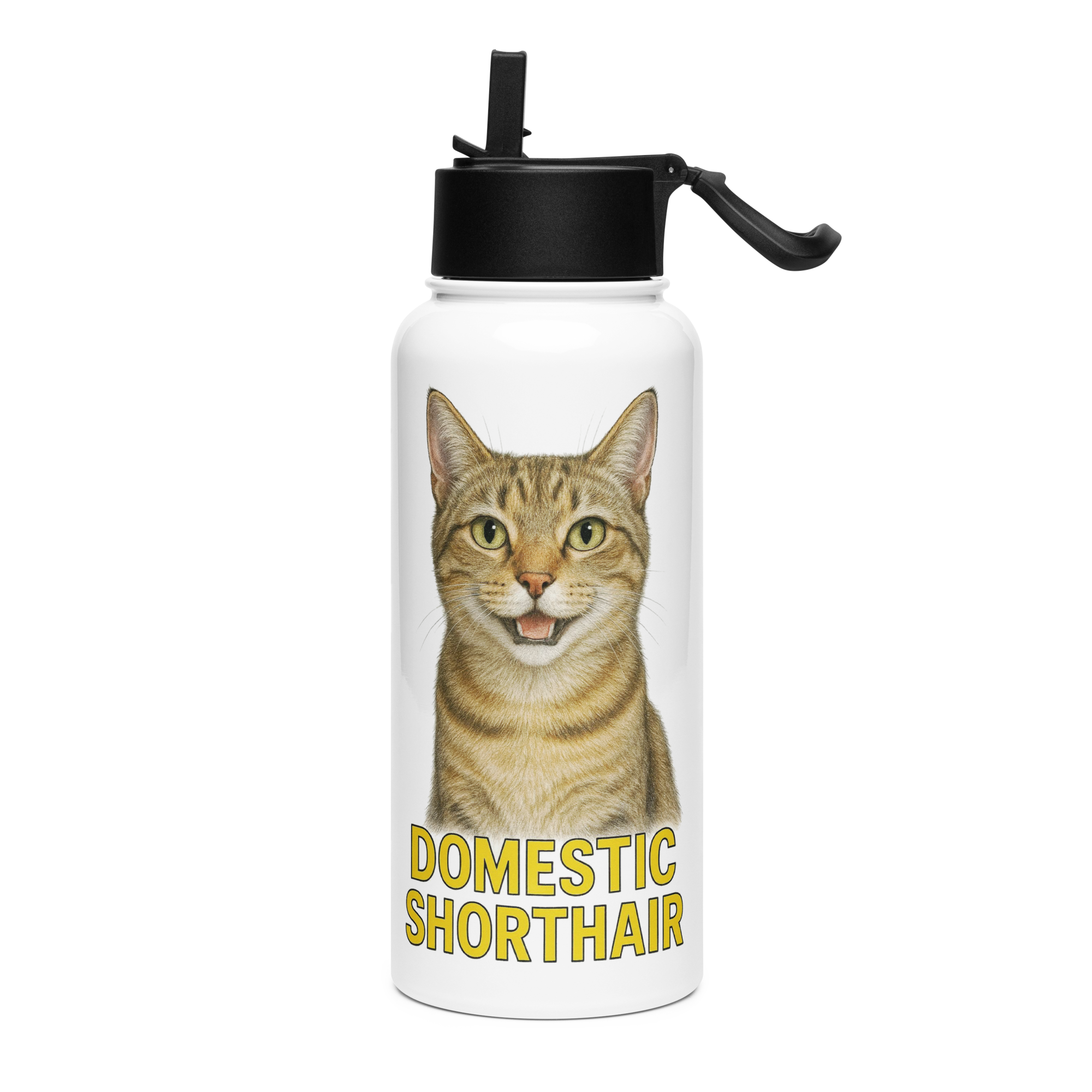 Domestic Shorthair Cat Water Bottle
