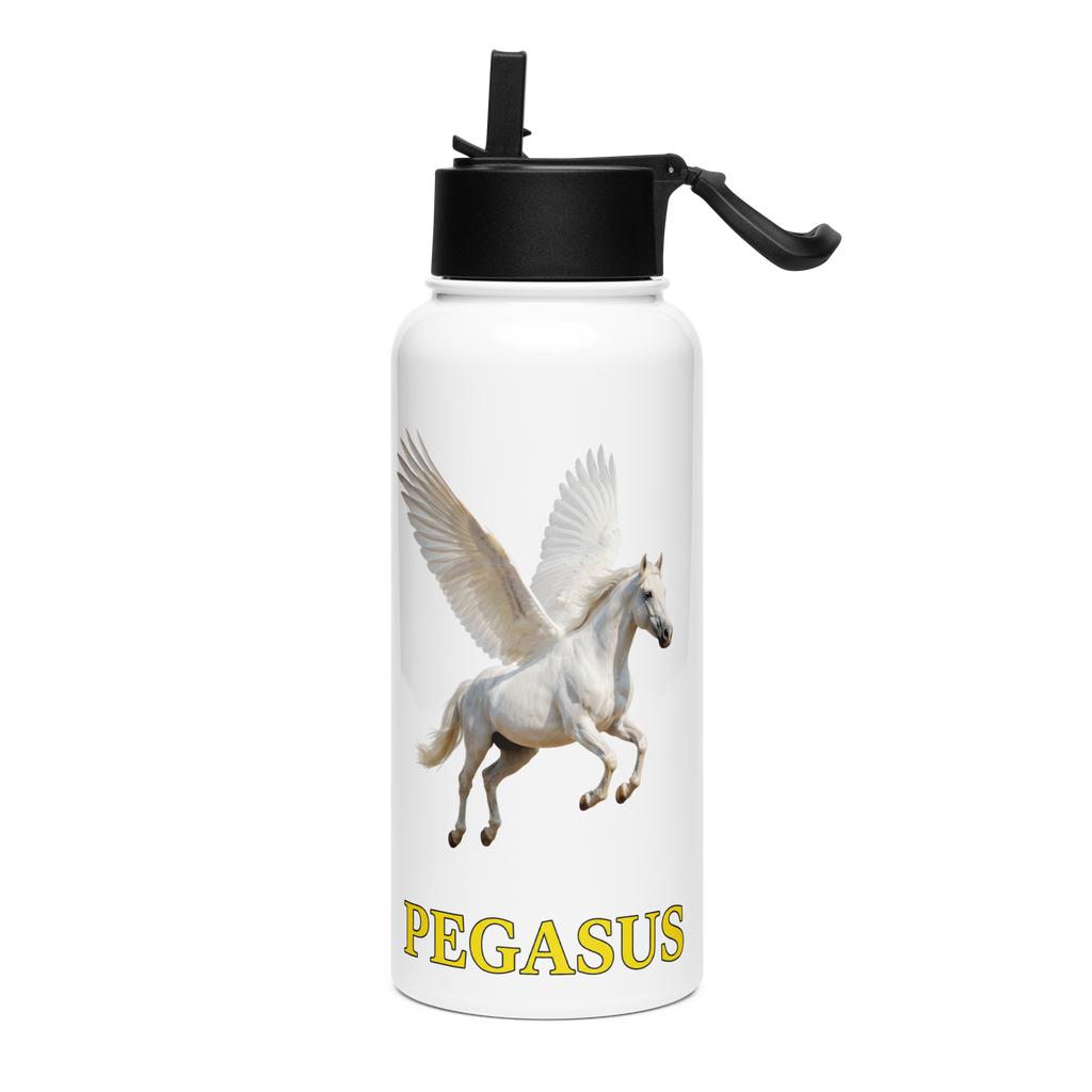 PEGASUS Stainless steel water bottle