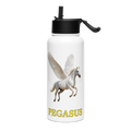PEGASUS Stainless steel water bottle