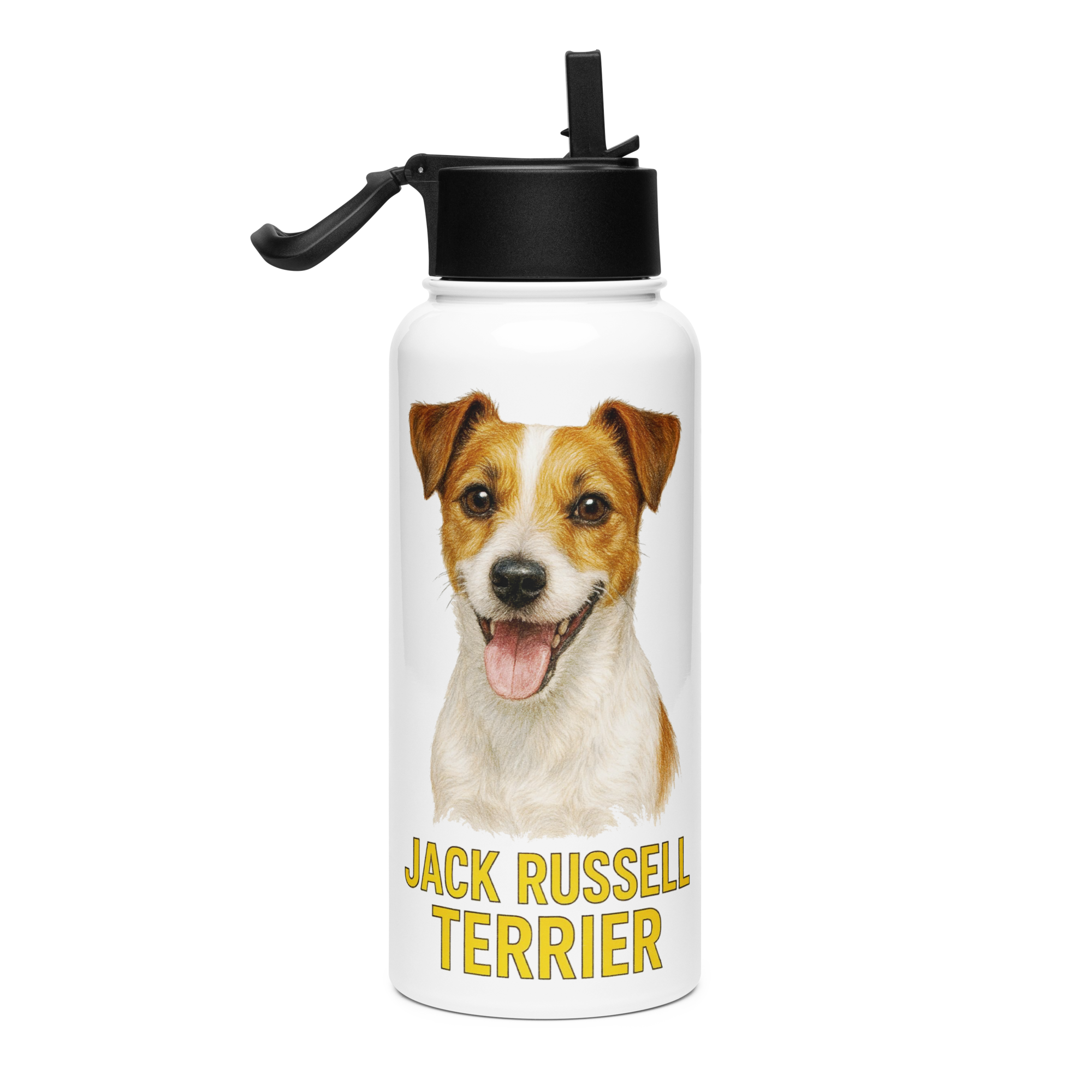 Jack Russell Terrier