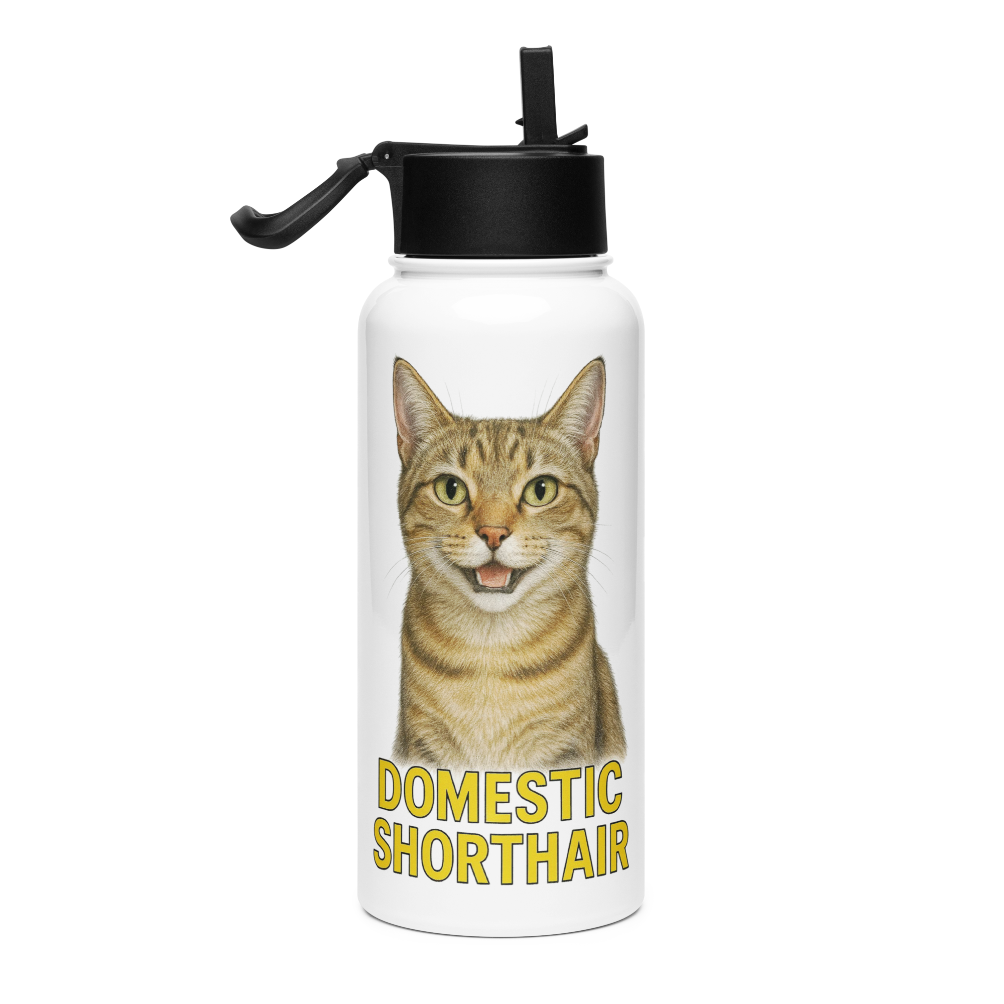 Domestic Shorthair Cat Water Bottle