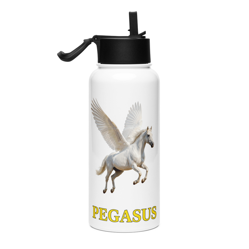 PEGASUS Stainless steel water bottle
