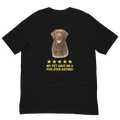 Chocolate Labrador Rating Unisex t-shirt